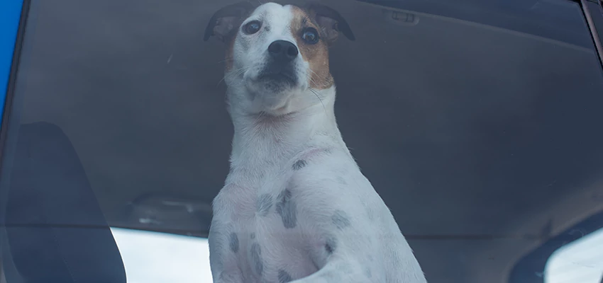 Car Lockout Solutions in South San Gabriel, California